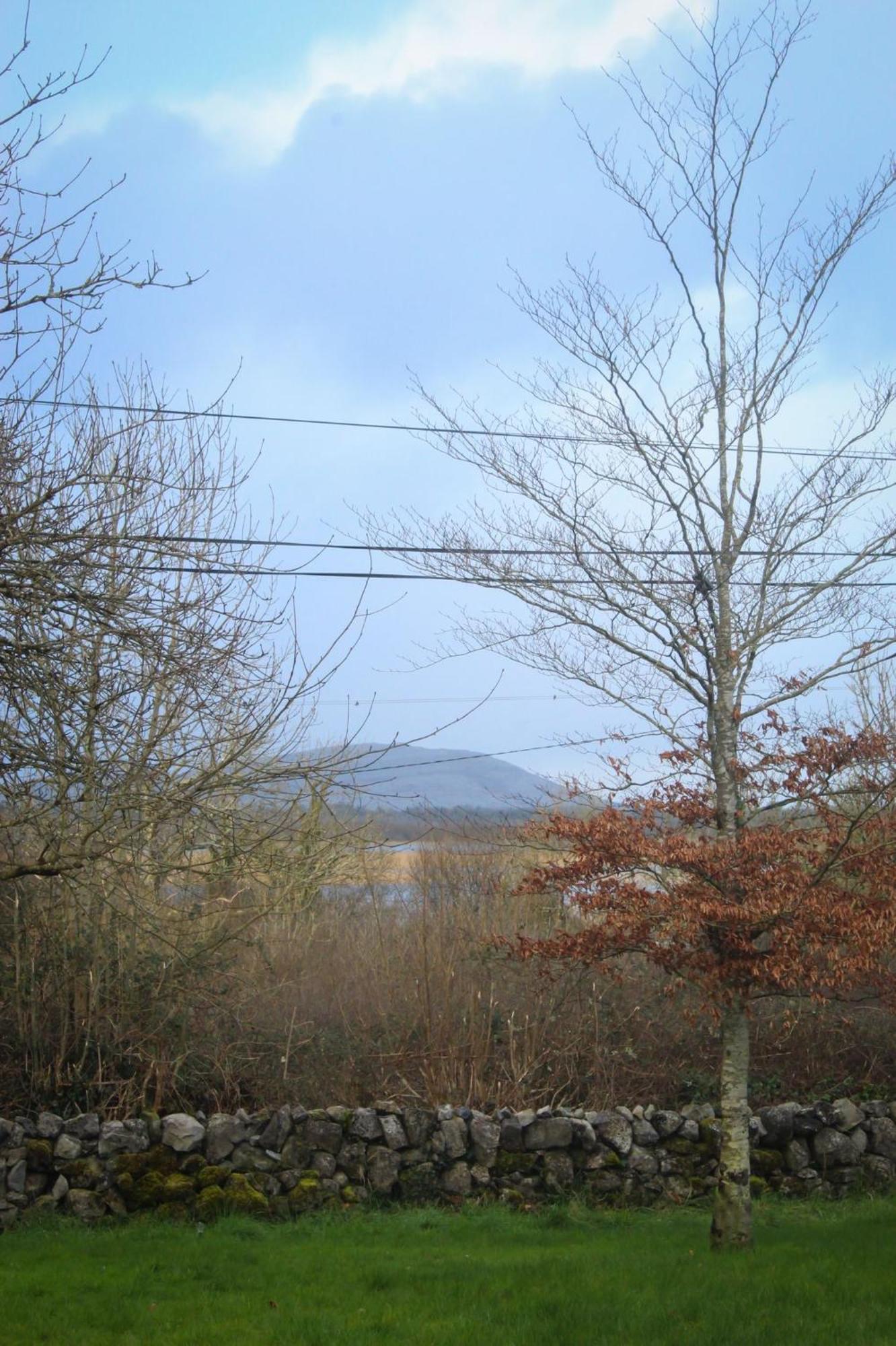 Riverside Cottage In The Burren Corofin  Экстерьер фото